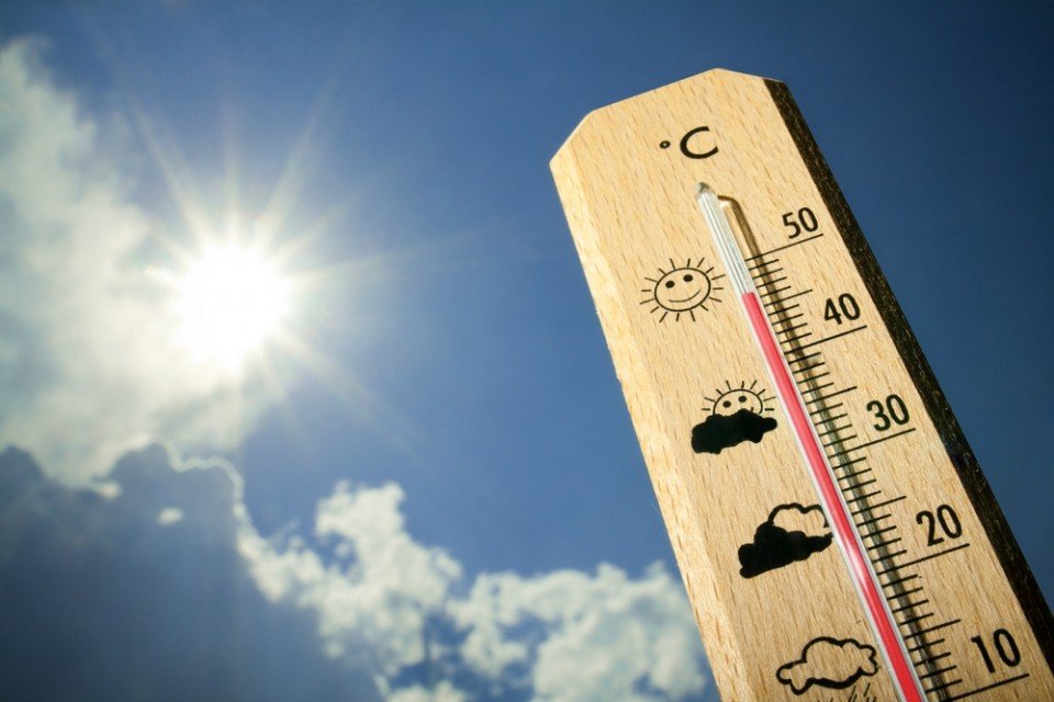 Calor
