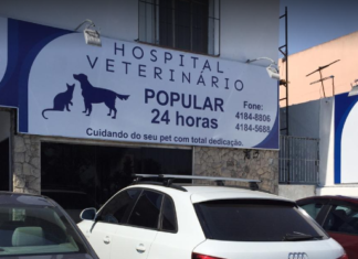 Mulher acusa clinica veterinária de negar atendimento a seu pet
