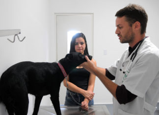 Hospital Veterinário Público