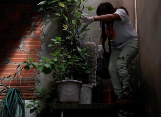 Barueri faz campanha de conscientização contra a Dengue