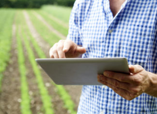 Mais de 70% das propriedades rurais no Brasil não têm acesso à internet