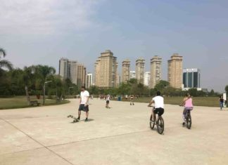 Governo investe R$ 170,5 mil em zeladoria nos parques Cândido Portinari e Villa-Lobos