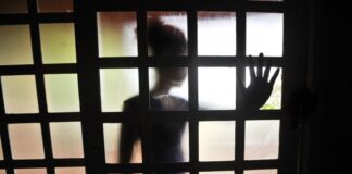O Conselho Tutelar de Cotia atua diariamente e, de acordo com o Colegiado do Conselho Tutelar de Caucaia, nesse período de pandemia do novo Coronavírus as denúncias de agressão física e psicológica aumentaram.