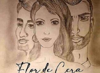 Diretor de escola em Carapicuíba lança novela literária interativa