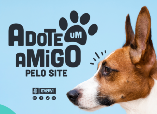 Prefeitura de Itapevi lança site pra adoção de pets