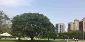 Confira quais parques estaduais estão abertos para visitação em São Paulo