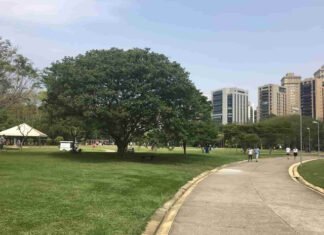 Confira quais parques estaduais estão abertos para visitação em São Paulo Confira quais parques estaduais estão abertos para visitação em São Paulo