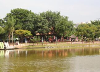 Parques e Viveiro reabrem em Barueri com medidas sanitárias e de distanciamento Parques e Viveiro reabrem em Barueri com medidas sanitárias e de distanciamento