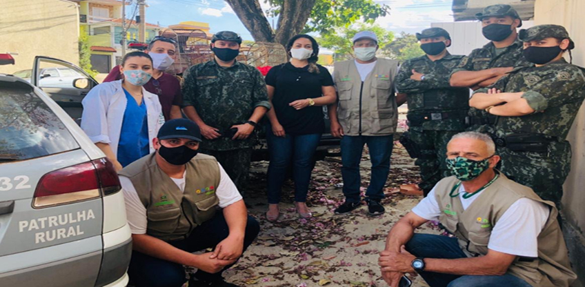 Polícia Militar Ambiental apreende animais silvestres em Osasco