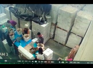 Polícia apreende 100 mil vidros de azeite falsificado em Barueri