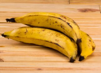 Secretaria de Agricultura pesquisa viabilidade do cultivo da banana-da-terra em SP