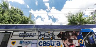 Itapevi inicia cadastro online para castração de cães e gatos