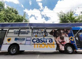 Itapevi inicia cadastro online para castração de cães e gatos Itapevi inicia cadastro online para castração de cães e gatos