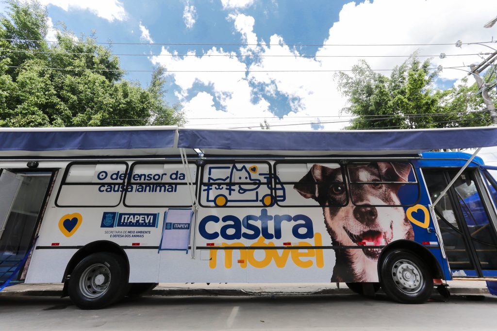 Itapevi inicia cadastro online para castração de cães e gatos