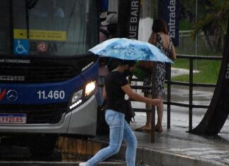 Chuva e quedas de árvores causam transtornos em SP e região metropolitana