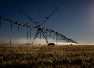 Decreto institui sistema que verifica emissões de carbono no agro
