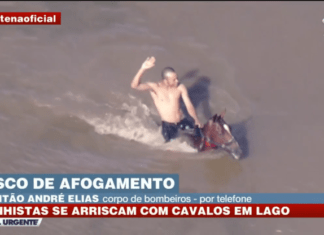 Homem é flagrado agredindo cavalo dentro de lagoa em Carapicuíba
