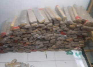 Policia Militar apreende 315 kg de maconha em Carapicuíba