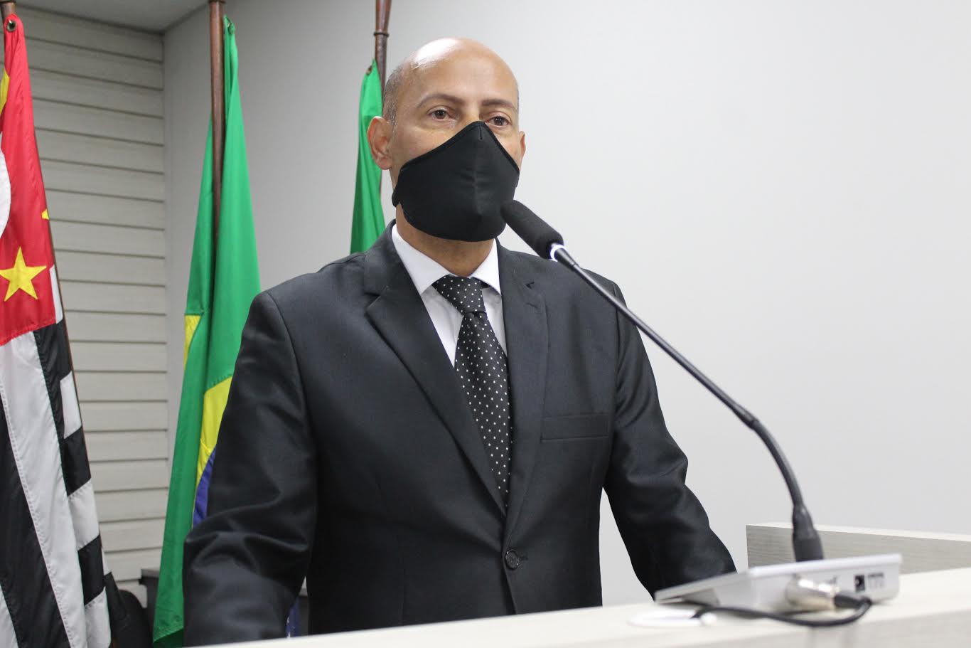 Vereador solicita providências sobre gatos abandonados