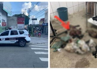 Carapicuíba: Fiscais encontram animais no estado de decomposição em Pet Shop