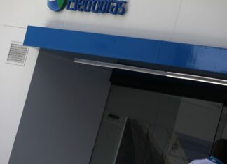 Câmara inicia sessão para votar MP de privatização da Eletrobras