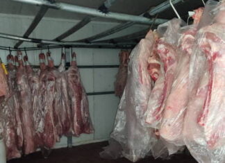PM recupera carga de carne avaliada em R$ 600 mil em Osasco