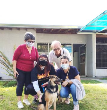 Adota Delivery promove adoção de pets on-line em Barueri