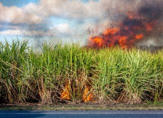 Tecnologia de monitoramento por satélite ajuda no combate aos incêndios no campo