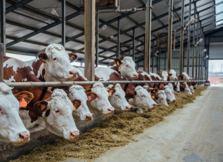 Agronegócio bate recorde de US$ 11 bilhões em julho de 2021