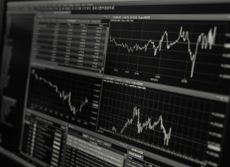 Brazil-Florida Business Council, Inc. realiza webinar sobre oportunidades para empresas brasileiras no mercado de capitais norte-americano