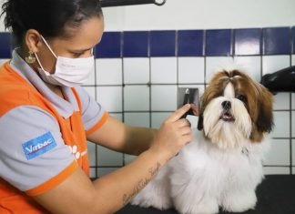 Mercado de pets avança na pandemia
e pode dobrar nos próximos cinco anos,
criando oportunidades de negócios