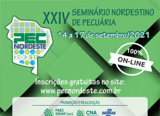 PECNORDESTE incentiva o fortalecimento da pecuária nordestina