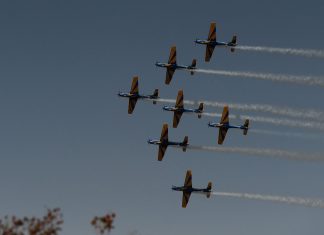Esquadrilha da Fumaça encanta público em celebração no Alvorada