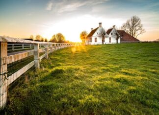 Expansão das fronteiras agrícolas aquece imobiliárias rurais