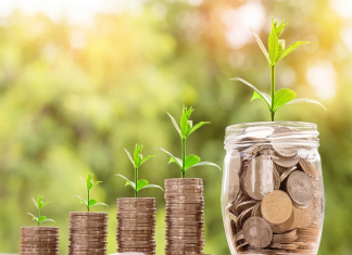Novos empreendedorismos crescem durante crise econômica no Brasil