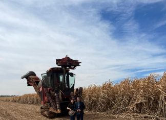 Agronegócio tem crescimento exponencial na carteira do Sicoob UniCentro Br