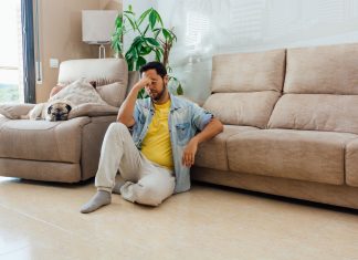 Maior presença de pets em casa reforça a atenção com móveis e estofado