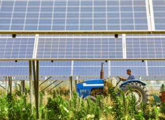 Energia solar auxilia a expansão do agronegócio