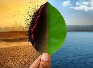 COP26 trouxe um sentimento misto de esperança e cobrança