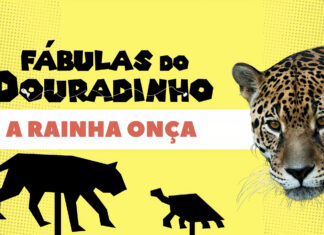 Fábulas para tratar temas como democracia, cidadania e diversidade nas escolas