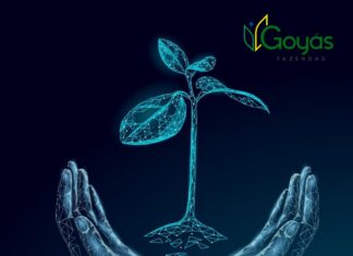 Número de startups do setor agro cresce em plena pandemia
