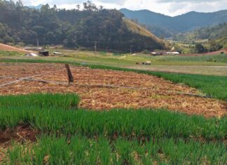 CEIVAP investe em infraestrutura verde na bacia do Paraíba do Sul