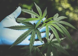 Congresso internacional debate políticas sobre drogas