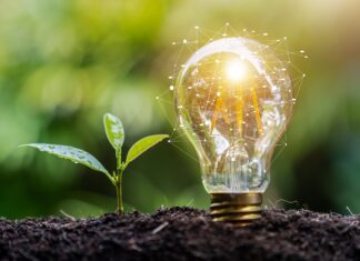 Uso de energia renovável aumenta e passa a ser utilizada para criação de remédio