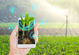 Startups agilizam processos e aumentam produtividade