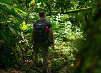 Dicas de destinos de ecoturismo para viajar no Brasil