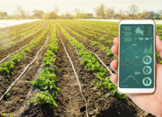 Brazil-Florida Business Council, Inc. destaca era digital do agribusiness