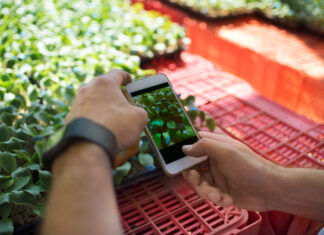 Startups do Brasil e França vencem desafio de sustentabilidade da Bayer e AgTech