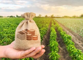 Agronegócio e o mercado financeiro caminham de mãos dadas