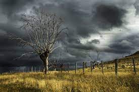 Desastres naturais provocaram grandes prejuízos á economia mundial